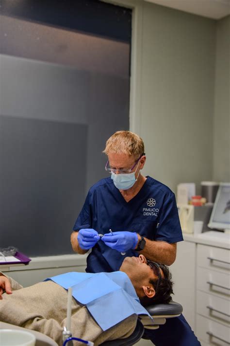 dentists pimlico